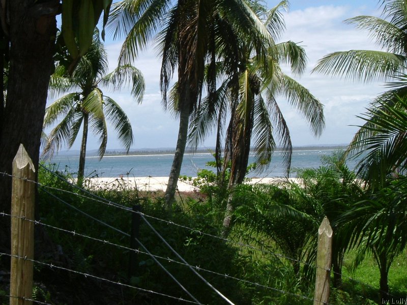 DSCF4565.JPG