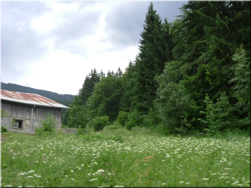 DSCF6204.JPG