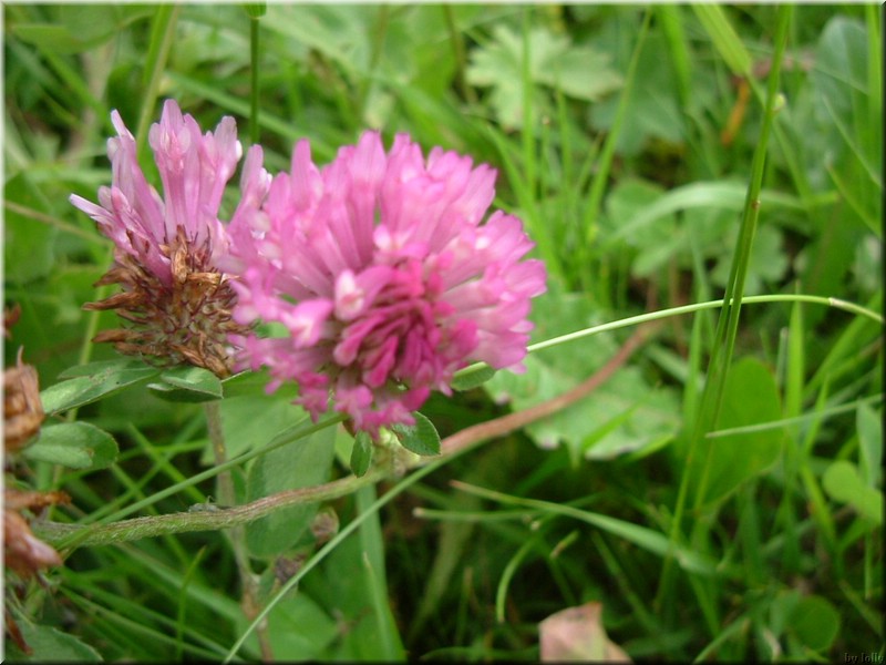 DSCF6226.JPG