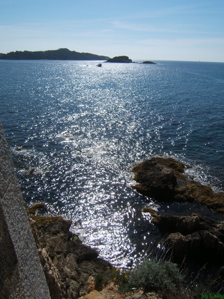 Carqueiranne 016.jpg