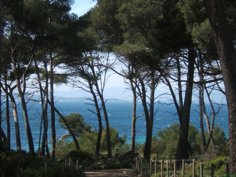 Carqueiranne 063.jpg