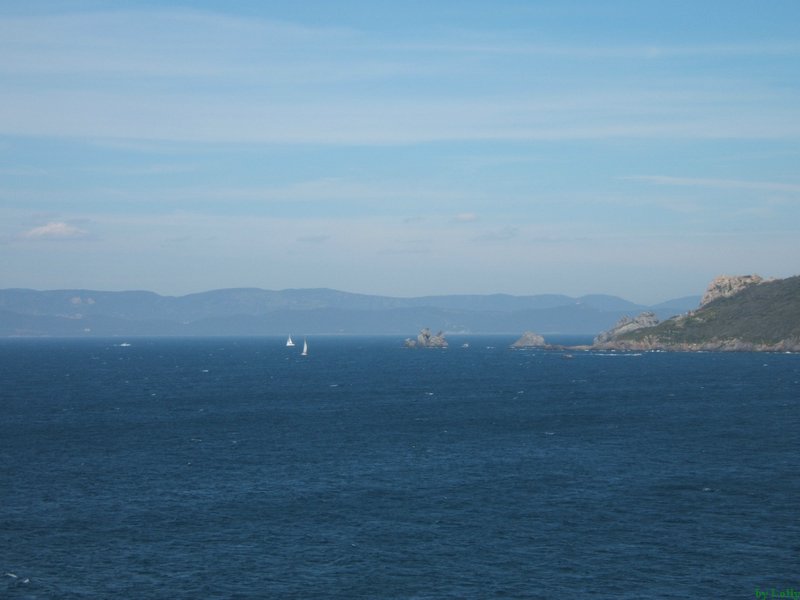 Carqueiranne 066.jpg