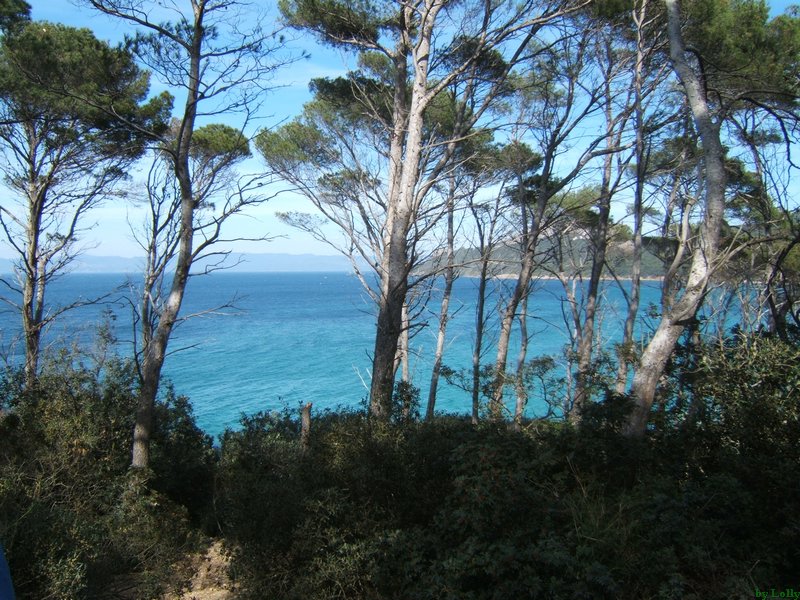 Carqueiranne 067.jpg