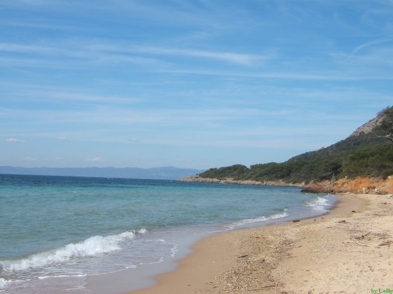 Carqueiranne 068.jpg