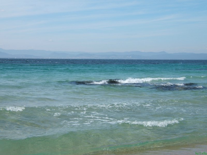 Carqueiranne 070.jpg