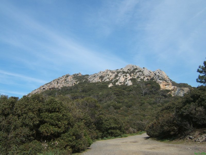 Carqueiranne 071.jpg