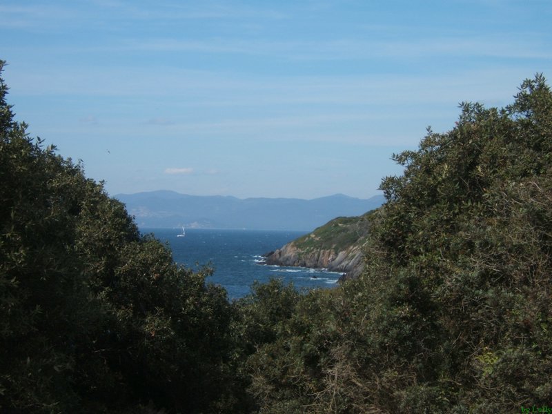 Carqueiranne 072.jpg