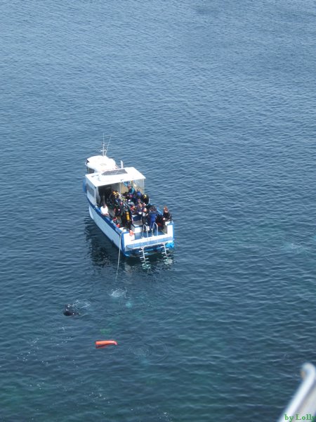 Carqueiranne 079.jpg