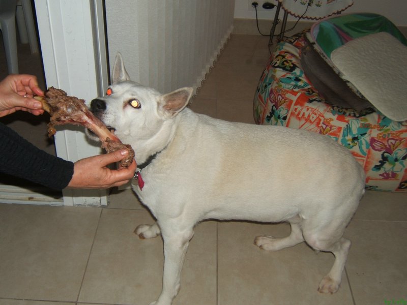 Carqueiranne 095.jpg