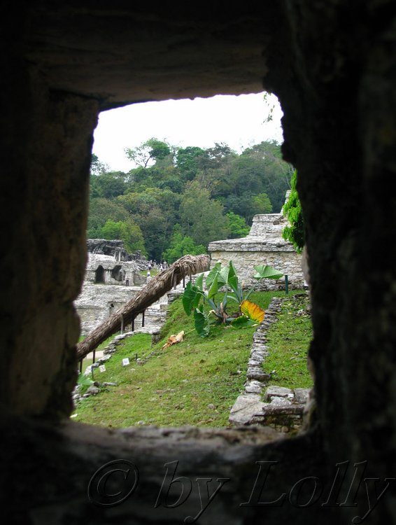 ze small palenque.jpg