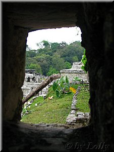 ze small palenque.jpg