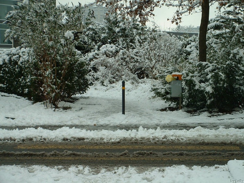 DSCF0018.JPG